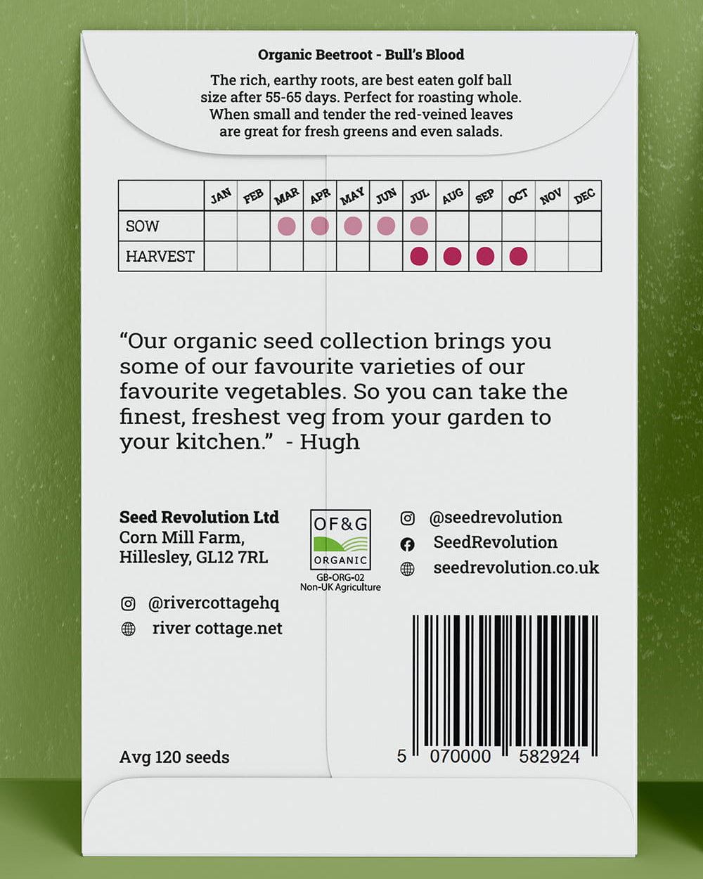 Back of River Cottage beetroot seed packet with useful information and a barcode on a green background. Showcasing Seed Revolution beetroot seed, beetroot seeds, growing beetroot, vegetable seeds, organic seeds, seed for veggies, seeds veg, veg seed uk, organic seeds, organic vegetable seeds.
