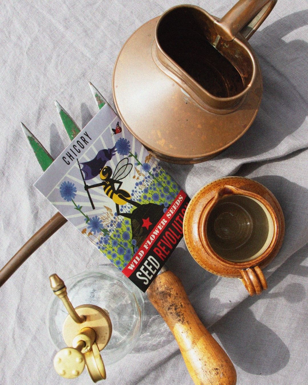 Vintage-style chicory wildflower seed packet with a bee illustration wtih gardening tools on a grey background. Showcasing Seed Revolution's Cichorium intybus, flowering chicory, chicory plant, chicory flower, british wild flower seeds, british wildflower seeds, uk wildflower seeds.