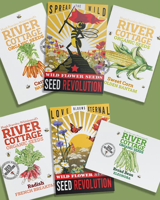 Collection of River Cottage Organic Veg Seeds packets for the Exclusive Bundle on a green background. Showcasing Seed Revolution's Veg Seeds, carrot seeds, broad bean seeds, sweet corn seeds, radish seeds, wildflower seeds, vegetable seeds, organic seeds, seed for veggies, seeds veg, veg seed uk, organic seeds, organic vegetable seeds.