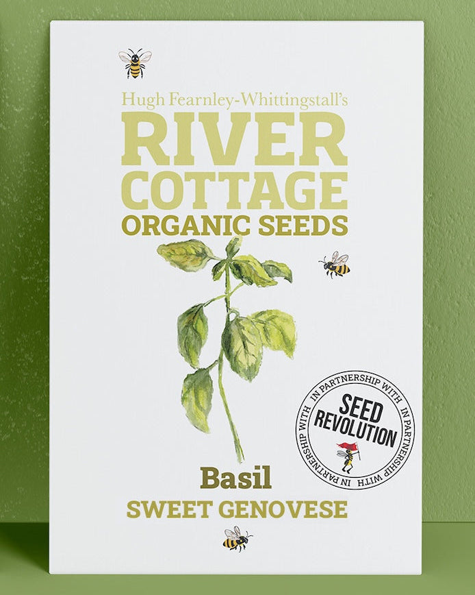 River Cottage Organic Seeds basil packet on a green background. Showcasing Seed Revolution basil seed, basil seeds, growing basil, vegetable seeds, organic seeds, seed for veggies, seeds veg, veg seed uk, organic seeds, organic vegetable seeds.