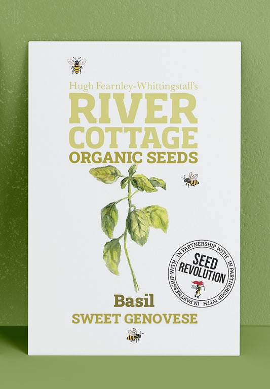 River Cottage Organic Seeds basil packet on a green background. Showcasing Seed Revolution basil seed, basil seeds, growing basil, vegetable seeds, organic seeds, seed for veggies, seeds veg, veg seed uk, organic seeds, organic vegetable seeds.