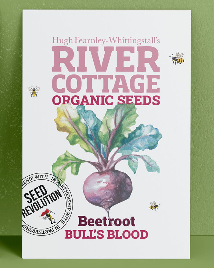 River Cottage Organic Seeds beetroot packet on a green background. Showcasing Seed Revolution beetroot seed, beetroot seeds, growing beetroot, vegetable seeds, organic seeds, seed for veggies, seeds veg, veg seed uk, organic seeds, organic vegetable seeds.