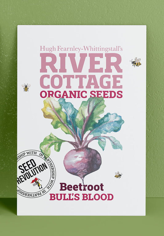 River Cottage Organic Seeds beetroot packet on a green background. Showcasing Seed Revolution beetroot seed, beetroot seeds, growing beetroot, vegetable seeds, organic seeds, seed for veggies, seeds veg, veg seed uk, organic seeds, organic vegetable seeds.