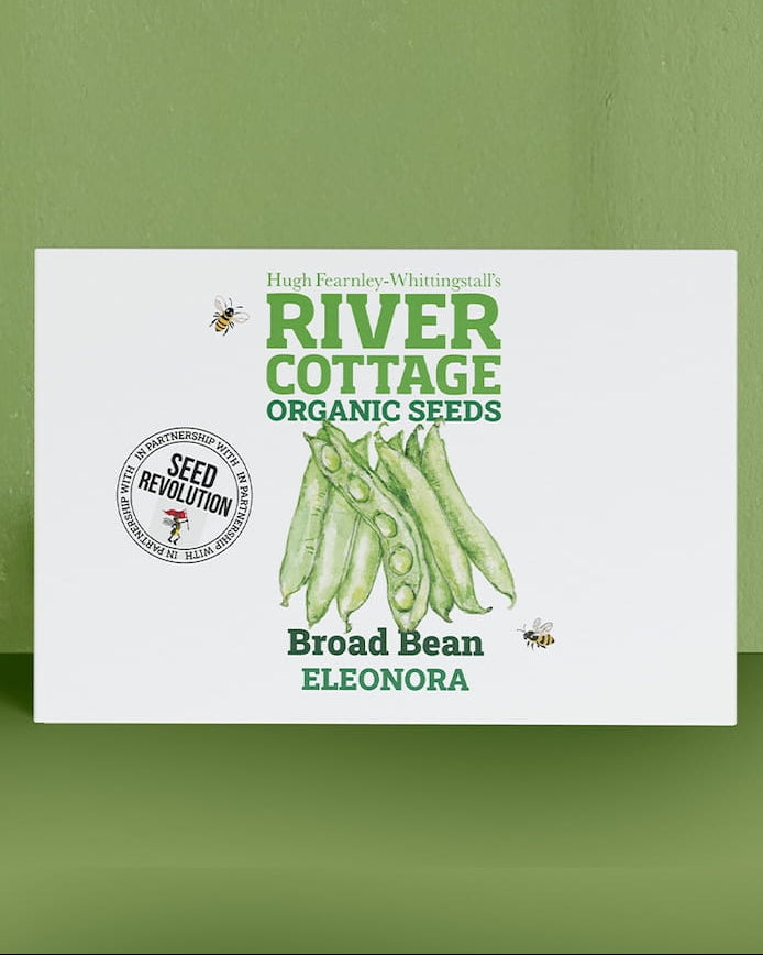 River Cottage Organic Seeds broad bean packet on a green background. Showcasing Seed Revolution Broad Bean seeds, Broad Bean seed, Broad Beans seeds, vegetable seeds, organic seeds, seed for veggies, seeds veg, veg seed uk, organic seeds, organic vegetable seeds.