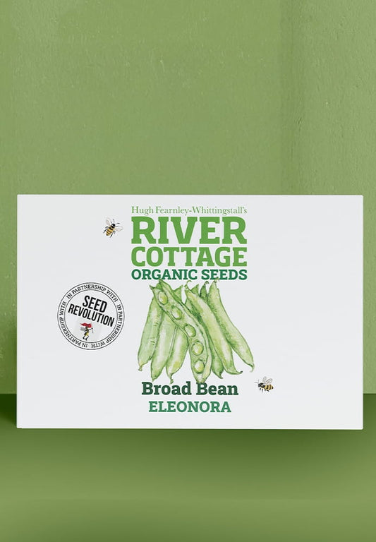 River Cottage Organic Seeds broad bean packet on a green background. Showcasing Seed Revolution Broad Bean seeds, Broad Bean seed, Broad Beans seeds, vegetable seeds, organic seeds, seed for veggies, seeds veg, veg seed uk, organic seeds, organic vegetable seeds.