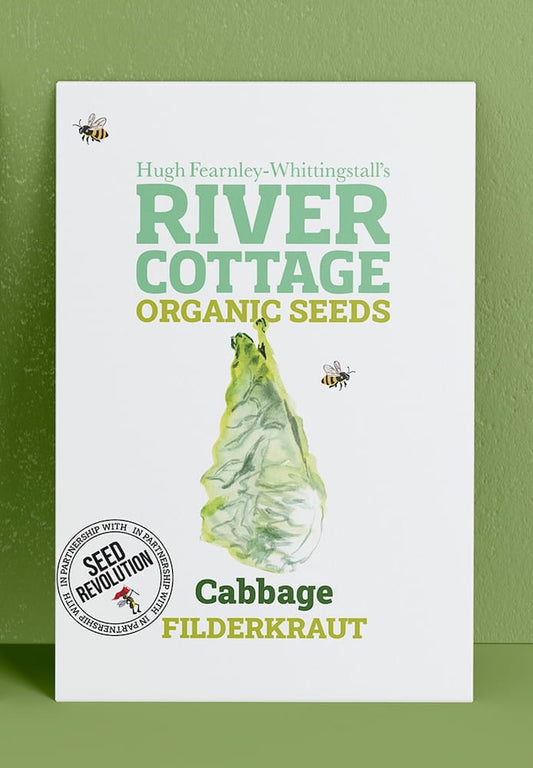 River Cottage Organic Seeds cabbage packet on a green background. Showcasing Seed Revolution cabbage seeds, cabbages, cabbage growing, vegetable seeds, organic seeds, seed for veggies, seeds veg, veg seed uk, organic seeds, organic vegetable seeds.