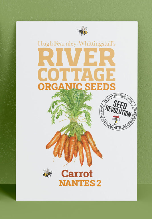 River Cottage Organic Seeds carrot packet on a green background. Showcasing Seed Revolution carrot seeds, seed carrots, carrots growing, vegetable seeds, organic seeds, seed for veggies, seeds veg, veg seed uk, organic seeds, organic vegetable seeds.