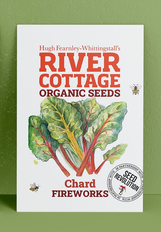 River Cottage Organic Seeds chard packet on a green background. Showcasing Seed Revolution chard seed, chard seeds, chard vegetable, vegetable seeds, organic seeds, seed for veggies, seeds veg, veg seed uk, organic seeds, organic vegetable seeds