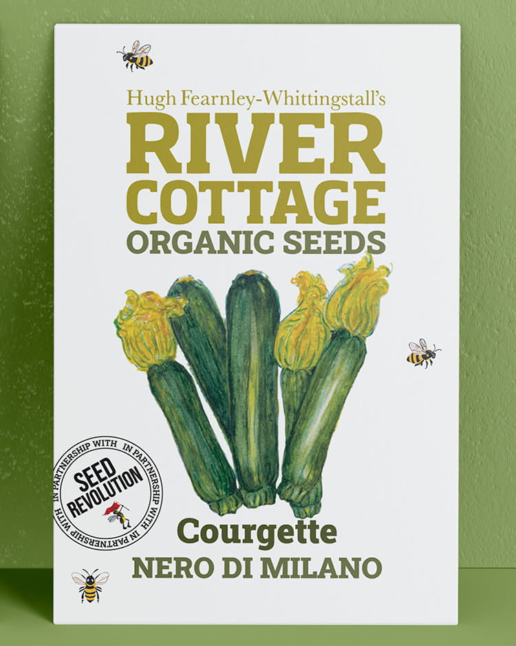 River Cottage Organic Seeds Courgette packet on a green background. Showcasing Seed Revolution courgette seeds, courgette seeds, seeds courgette, courgette growing, courgettes seed, vegetable seeds, organic seeds, seed for veggies, seeds veg, veg seed uk, organic seeds, organic vegetable seeds.