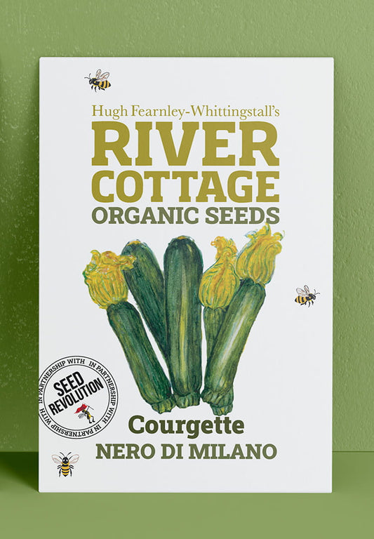 River Cottage Organic Seeds Courgette packet on a green background. Showcasing Seed Revolution courgette seeds, courgette seeds, seeds courgette, courgette growing, courgettes seed, vegetable seeds, organic seeds, seed for veggies, seeds veg, veg seed uk, organic seeds, organic vegetable seeds.