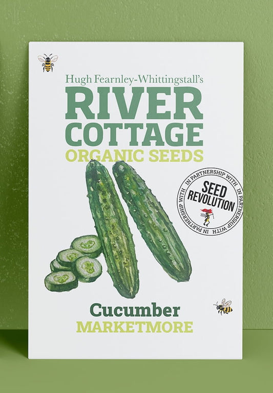 River Cottage Organic Seeds cucumber packet on a green background. Showcasing Seed Revolution Cucumber seed, cucumber seeds, cucumber growing, growing cucumber, cucumber marketmore, marketmore cucumber, vegetable seeds, organic seeds, seed for veggies, seeds veg, veg seed uk, organic seeds, organic vegetable seeds.