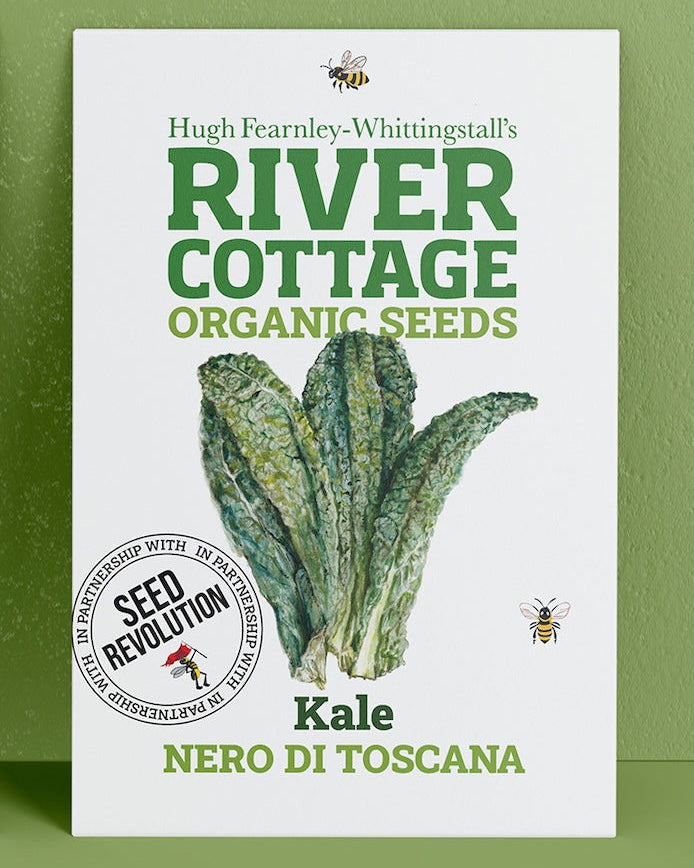 River Cottage Organic Seeds kale packet on a green background. Showcasing Seed Revolution kale seeds, kales, growing kale, vegetable seeds, organic seeds, seed for veggies, seeds veg, veg seed uk, organic seeds, organic vegetable seeds