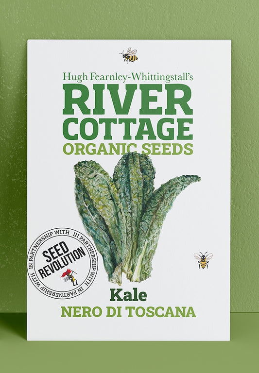 River Cottage Organic Seeds kale packet on a green background. Showcasing Seed Revolution kale seeds, kales, growing kale, vegetable seeds, organic seeds, seed for veggies, seeds veg, veg seed uk, organic seeds, organic vegetable seeds