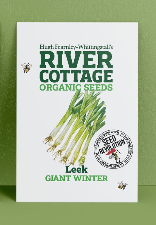River Cottage Organic Seeds leek packet on a green background. Showcasing Seed Revolution leek seed, leek seeds, leek vegetable, vegetable seeds, organic seeds, seed for veggies, seeds veg, veg seed uk, organic seeds, organic vegetable seeds
