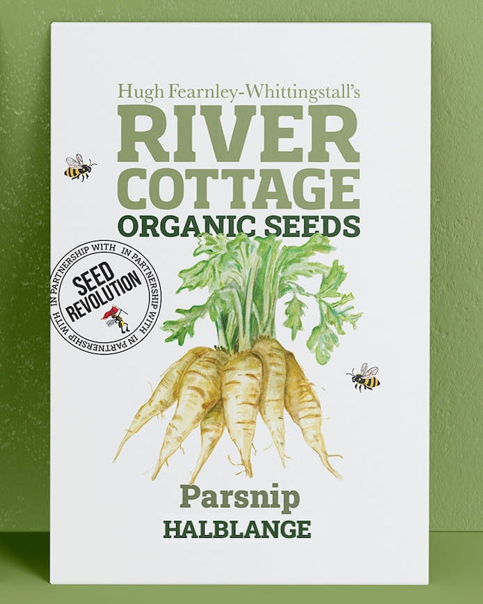 River Cottage Organic Seeds parsnips packet on a green background. Showcasing Seed Revolution parsnip seeds, growing parsnips, parsnip vegetable, vegetable seeds, organic seeds, seed for veggies, seeds veg, veg seed uk, organic seeds, organic vegetable seeds.