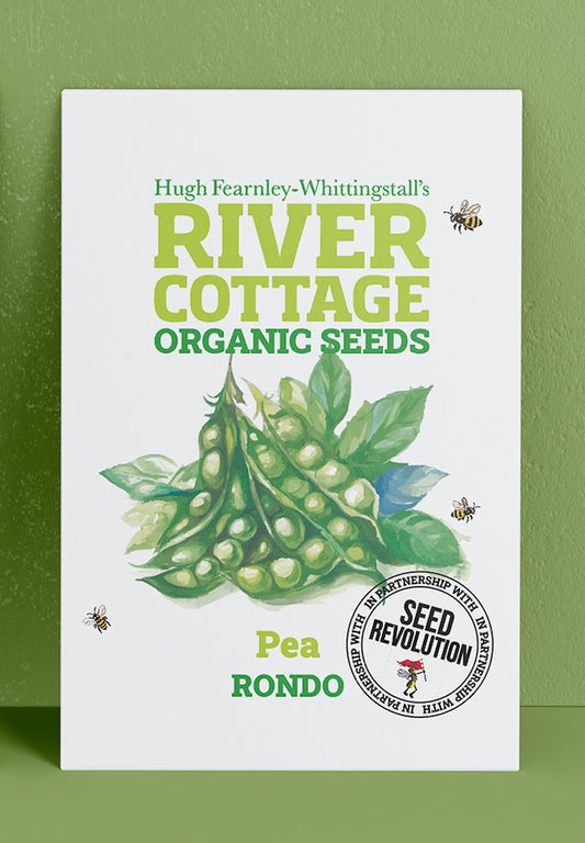 River Cottage Organic Seeds pea packet on a green background. Showcasing Seed Revolution pea seed, pea seeds, growing peas, vegetable seeds, organic seeds, seed for veggies, seeds veg, veg seed uk, organic seeds, organic vegetable seeds.