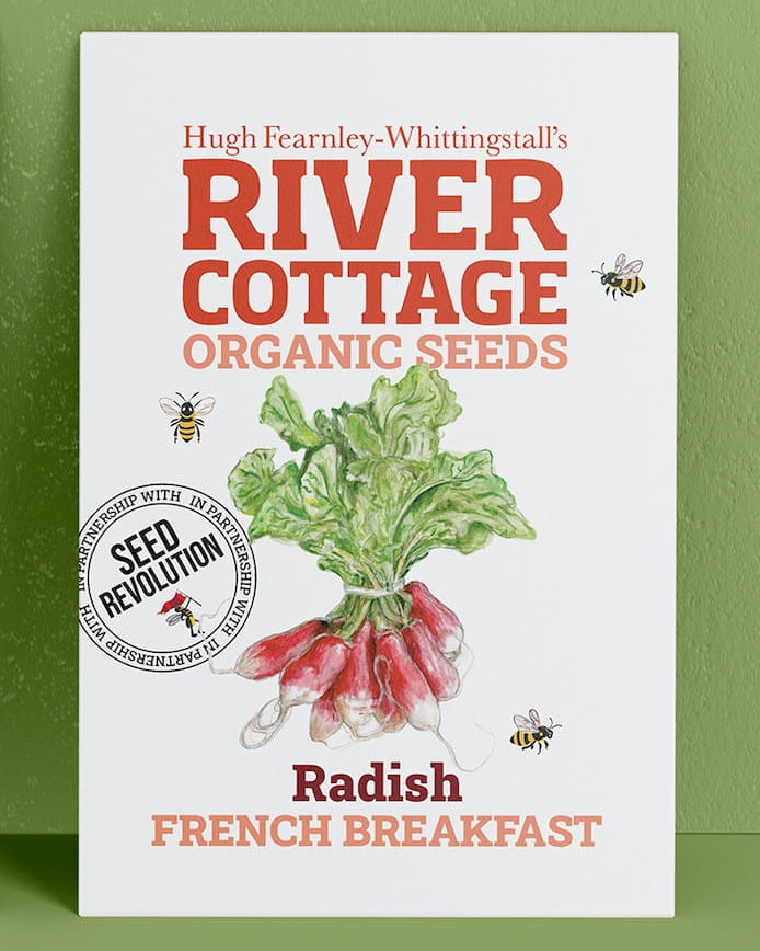 River Cottage Organic Seeds radish packet on a green background. Showcasing Seed Revolution radish seed, radish seeds, grow radishes, radish french breakfast, vegetable seeds, organic seeds, seed for veggies, seeds veg, veg seed uk, organic seeds, organic vegetable seeds