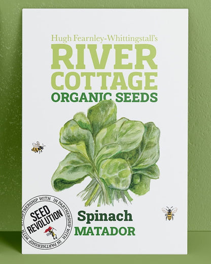 River Cottage Organic Seeds spinach packet on a green background. Showcasing Seed Revolution spinach seed, spinach seeds, grow spinach, vegetable seeds, organic seeds, seed for veggies, seeds veg, veg seed uk, organic seeds, organic vegetable seeds