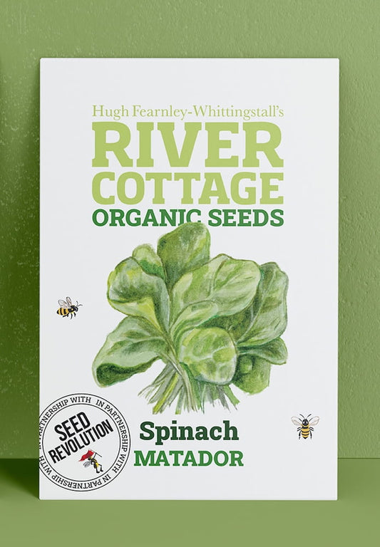 River Cottage Organic Seeds spinach packet on a green background. Showcasing Seed Revolution spinach seed, spinach seeds, grow spinach, vegetable seeds, organic seeds, seed for veggies, seeds veg, veg seed uk, organic seeds, organic vegetable seeds