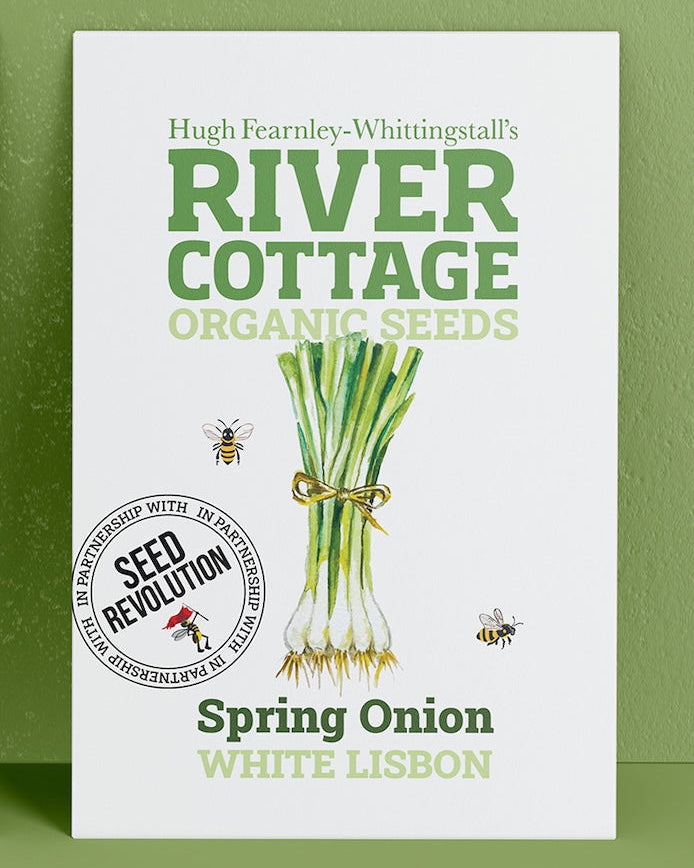 River Cottage Organic Seeds spring onion packet on a green background. Showcasing Seed Revolution Spring Onion seeds, grow Spring Onion, Spring Onions, vegetable seeds, organic seeds, seed for veggies, seeds veg, veg seed uk, organic seeds, organic vegetable seeds.