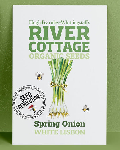 River Cottage Organic Seeds spring onion packet on a green background. Showcasing Seed Revolution Spring Onion seeds, grow Spring Onion, Spring Onions, vegetable seeds, organic seeds, seed for veggies, seeds veg, veg seed uk, organic seeds, organic vegetable seeds.