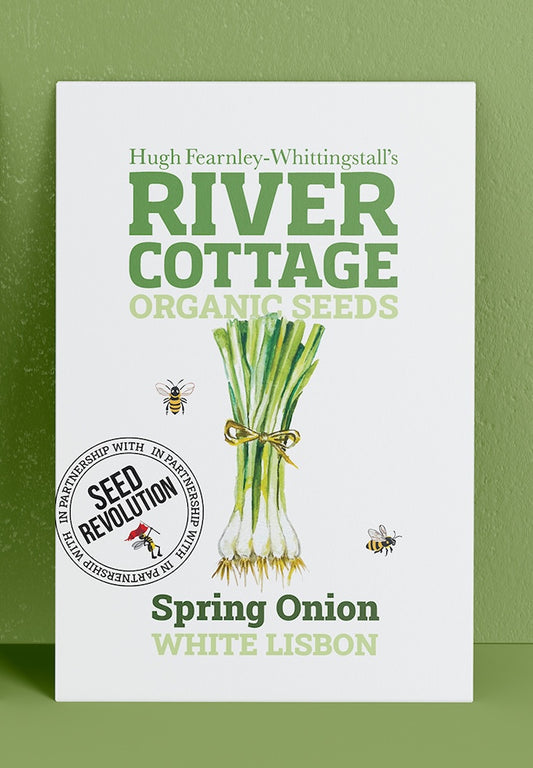 River Cottage Organic Seeds spring onion packet on a green background. Showcasing Seed Revolution Spring Onion seeds, grow Spring Onion, Spring Onions, vegetable seeds, organic seeds, seed for veggies, seeds veg, veg seed uk, organic seeds, organic vegetable seeds.