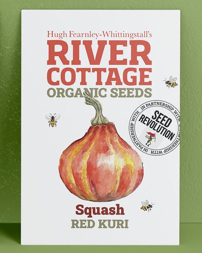 River Cottage Organic Seeds squash packet on a green background. Showcasing Seed Revolution squash seed, red kuri, red kuri squash, kuri squash, vegetable seeds, organic seeds, seed for veggies, seeds veg, veg seed uk, organic seeds, organic vegetable seeds.