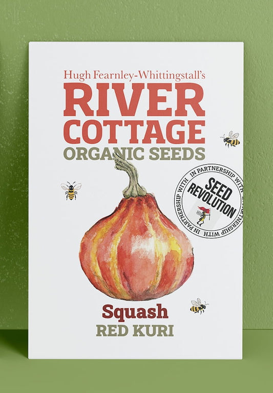 River Cottage Organic Seeds squash packet on a green background. Showcasing Seed Revolution squash seed, red kuri, red kuri squash, kuri squash, vegetable seeds, organic seeds, seed for veggies, seeds veg, veg seed uk, organic seeds, organic vegetable seeds.
