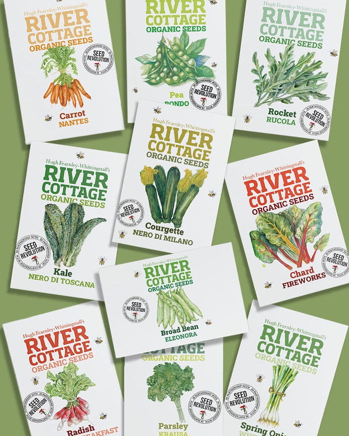 Collection of River Cottage Organic Veg Seeds packets for the Kitchen Garden Bundle on a green background. Showcasing Seed Revolution's Veg Seeds, carrot seeds, broad bean seeds, radish seeds, beetroot seeds, spring onion seeds, kales seeds, chard seeds, pea seeds, parsley seeds, basil seeds, vegetable seeds, organic seeds, seed for veggies, seeds veg, veg seed uk, organic seeds, organic vegetable seeds.