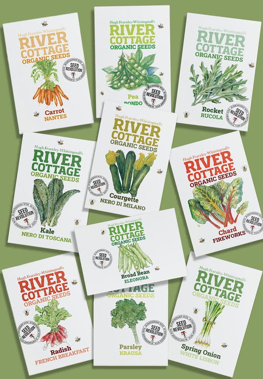 Collection of River Cottage Organic Veg Seeds packets for the Kitchen Garden Bundle on a green background. Showcasing Seed Revolution's Veg Seeds, carrot seeds, broad bean seeds, radish seeds, beetroot seeds, spring onion seeds, kales seeds, chard seeds, pea seeds, parsley seeds, basil seeds, vegetable seeds, organic seeds, seed for veggies, seeds veg, veg seed uk, organic seeds, organic vegetable seeds.