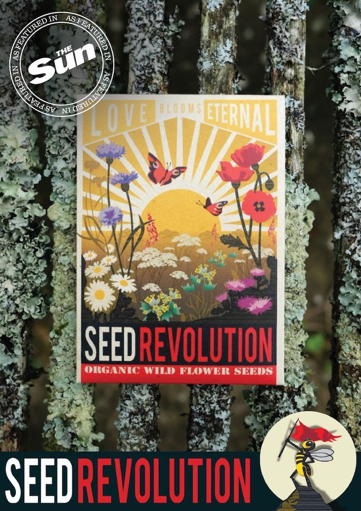 Seed Revolution's organic Love Blooms Eternal wildflower seeds packet showcasing Native Plant Pot Wildflower Seed Mix, which is british wild flower seeds, british wildflower seeds, wildflower mixes, mixed wildflower seeds, uk wildflower seeds, wildflower meadows, wildflower meadow, universal wildflowers, wildflowers for pots, cost-effective wildflower meadow.