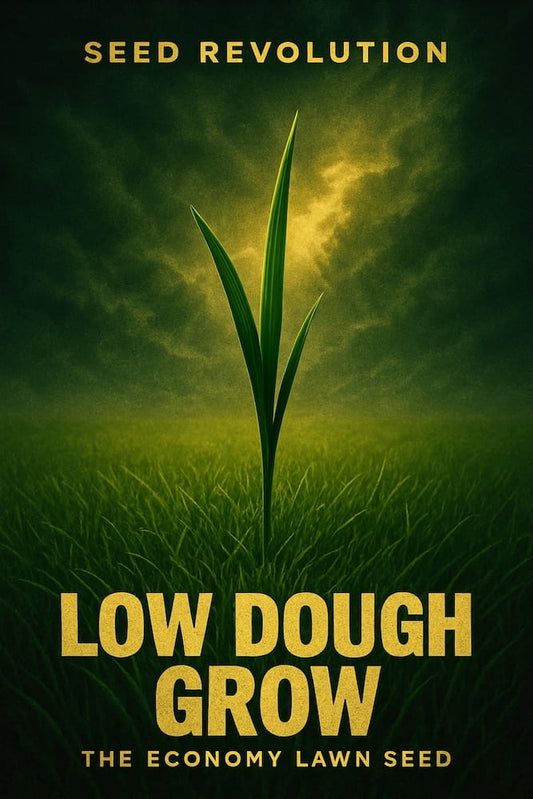 Poster for Seed Revolution's economy lawn seed with grass growing. Showcasing our Economy Lawn Seed Mix, lawn seed, best grass seed for lawns uk, best grass seed lawns, best lawn seed uk, lawns seeds, grass seed, seed for grass, economy grass seed, fast growing grass seeds, grass seed fast growing.