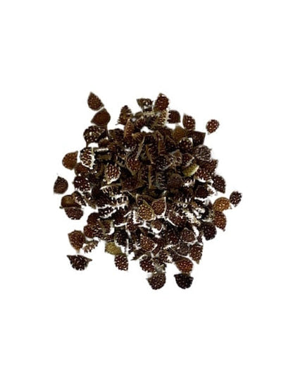 Meadow Buttercup seed in a pile with text indicating 'No added soil filler, no added grass seed, just seed' and logos at the bottom. Showcasing our Ranunculus acris, buttercups flower, buttercup, british wild flower seeds, british wildflower seeds, uk wildflower seeds.