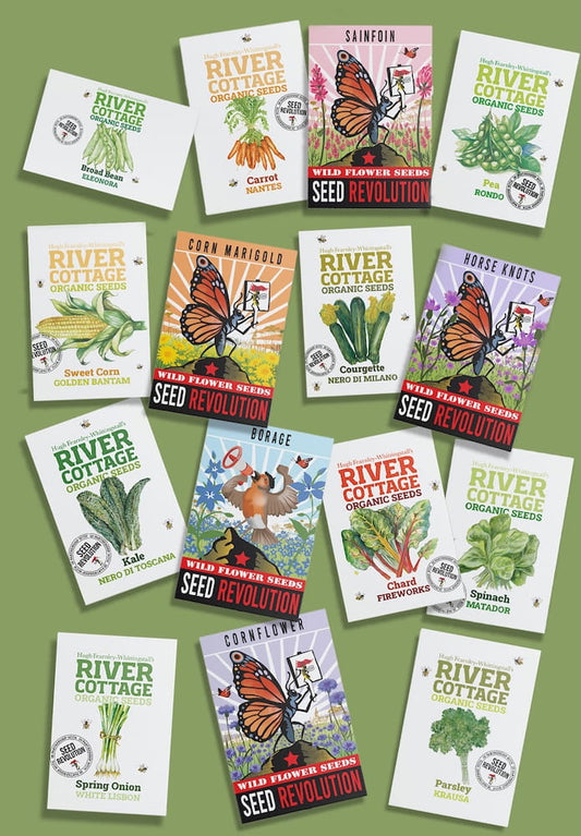 Collection of River Cottage Organic Veg Seeds packets for the Natural Grower’s Garden Bundle on a green background. Showcasing Seed Revolution's Veg Seeds, carrot seeds, broad bean seeds, radish seeds, beetroot seeds, spring onion seeds, kales seeds, chard seeds, pea seeds, parsley seeds, Sweet Corn seeds, wildflower seeds, vegetable seeds, organic seeds, seed for veggies, seeds veg, veg seed uk, organic seeds, organic vegetable seeds.