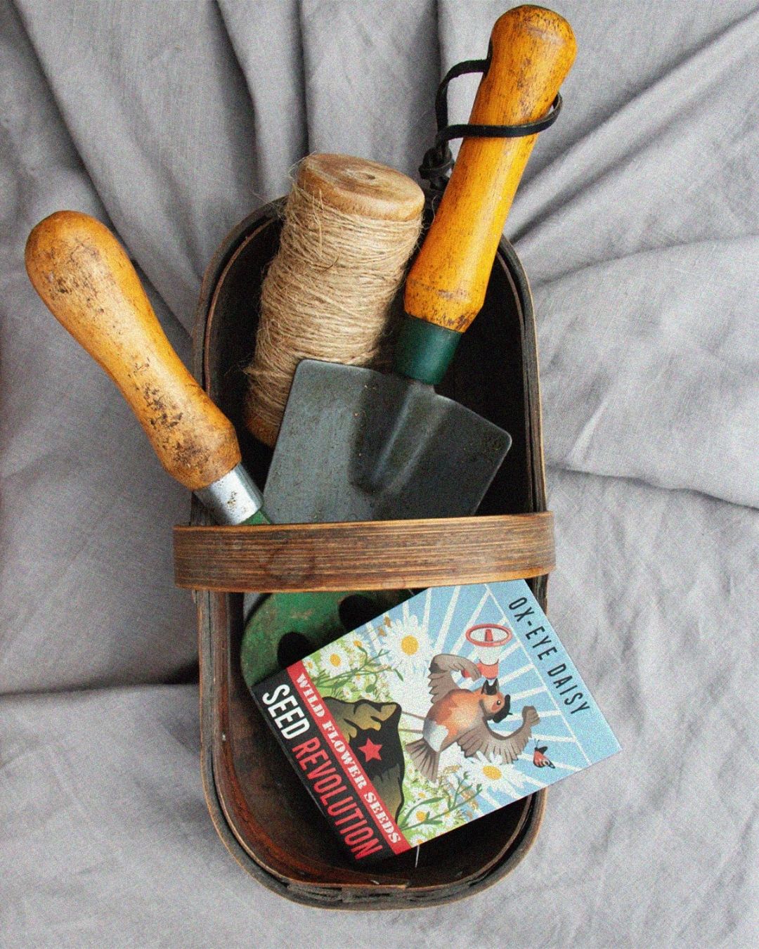 Set of gardening tools in a wooden holder with a wildflower ox-eye-daisy seed packet on a grey fabric background. Showcasing Seed Revolution's Leucanthemum vulgare, daisy oxeye, Oxeye Daisy Leucanthemum vulgare, Ox eye Daisy, british wild flower seeds, british wildflower seeds, uk wildflower seeds.
