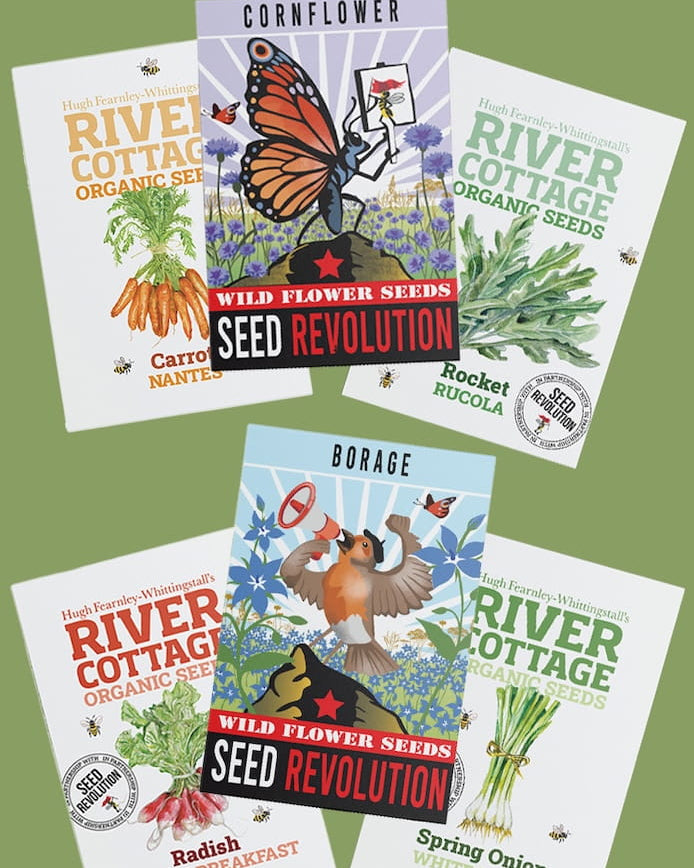Collection of River Cottage Organic Veg Seeds packets for the Pollinator Starter Patch Bundle on a green background. Showcasing Seed Revolution's Veg Seeds, carrot seeds, radish seeds, beetroot seeds, spring onion seeds, wildflower seeds, vegetable seeds, organic seeds, seed for veggies, seeds veg, veg seed uk, organic seeds, organic vegetable seeds.
