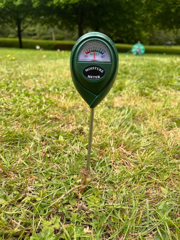 Green moisture meter in grass with blurred background. Showcasing Seed Revolution's Soil Moisture Meter, moisture meter, moisture meters, moisture meter for plants, dampness meter, moisture probe soil, soil moisture tester, moisture tester for soil, soil moisture probe.