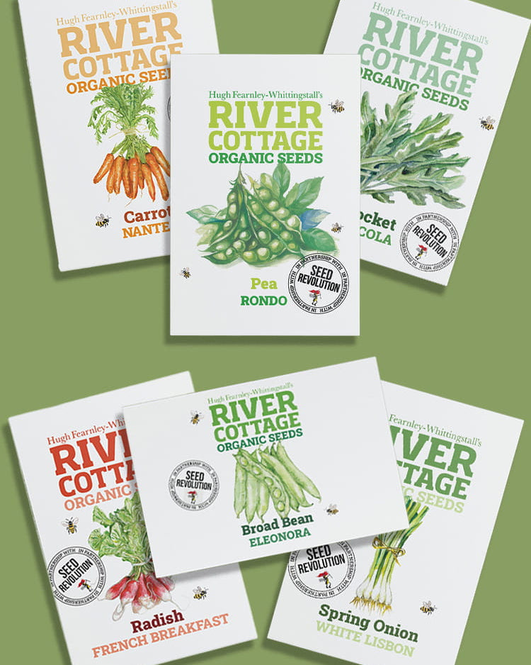 Collection of River Cottage Organic Veg Seeds packets for the Starter Grow Bundle on a green background. Showcasing Seed Revolution's Veg Seeds, carrot seeds, broad bean seeds, radish seeds, beetroot seeds, spring onion seeds, pea seeds, vegetable seeds, organic seeds, seed for veggies, seeds veg, veg seed uk, organic seeds, organic vegetable seeds.