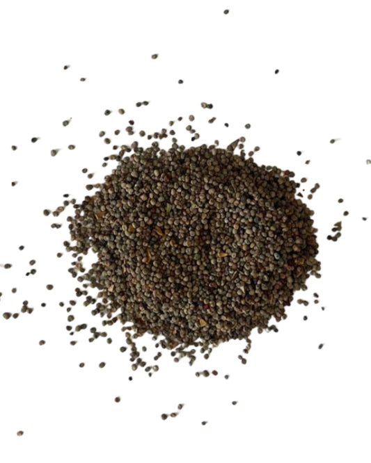 Heap of White Campion seeds with 'Seed Revolution' logo at the bottom. Showcasing our White Campion, Silene latifolia, campion flower, campion wildflower, wildflower campion,  british wild flower seeds, british wildflower seeds, uk wildflower seeds.