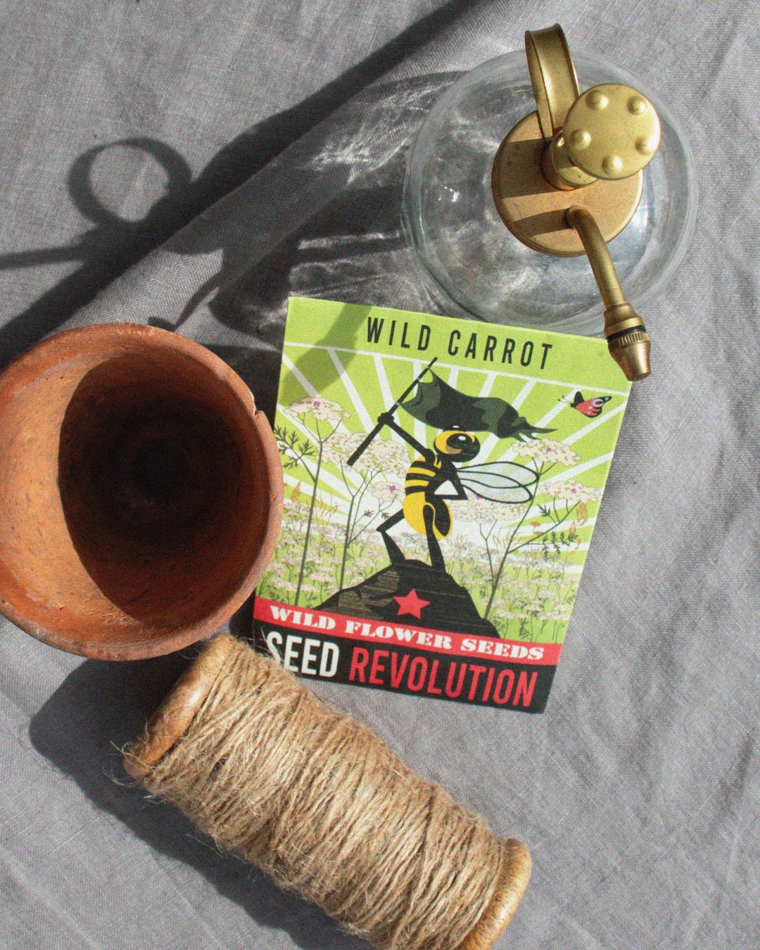A wild carrot wildflower seed packet with a terracotta pot and twine on a grey surface. Showcasing Seed Revolution's Wild Carrot, Daucus carota, Queen Anne’s lace plant, Daucus carota Wild Carrot, Queen Anne’s lace, british wild flower seeds, british wildflower seeds, uk wildflower seeds.