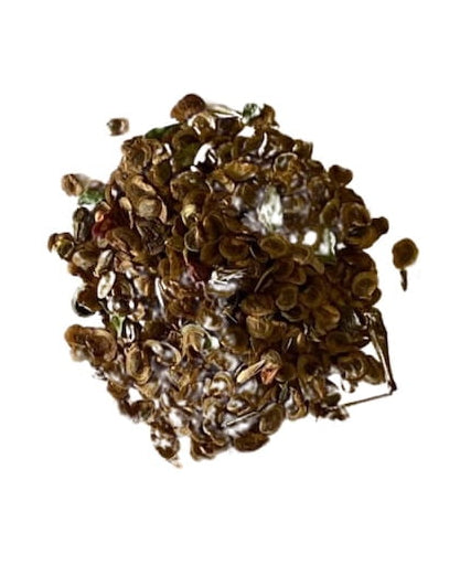 Yellow Rattle seed with 'Seed Revolution' branding and certification logos on a white background. Rhinanthus minor, yellow rattle, seeds yellow rattle, british wild flower seeds, british wildflower seeds, uk wildflower seeds